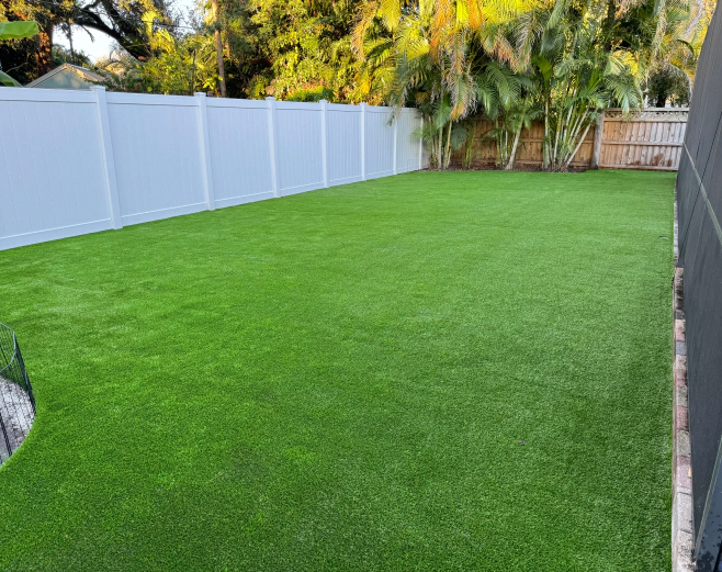 backyard lawn turf newly installed